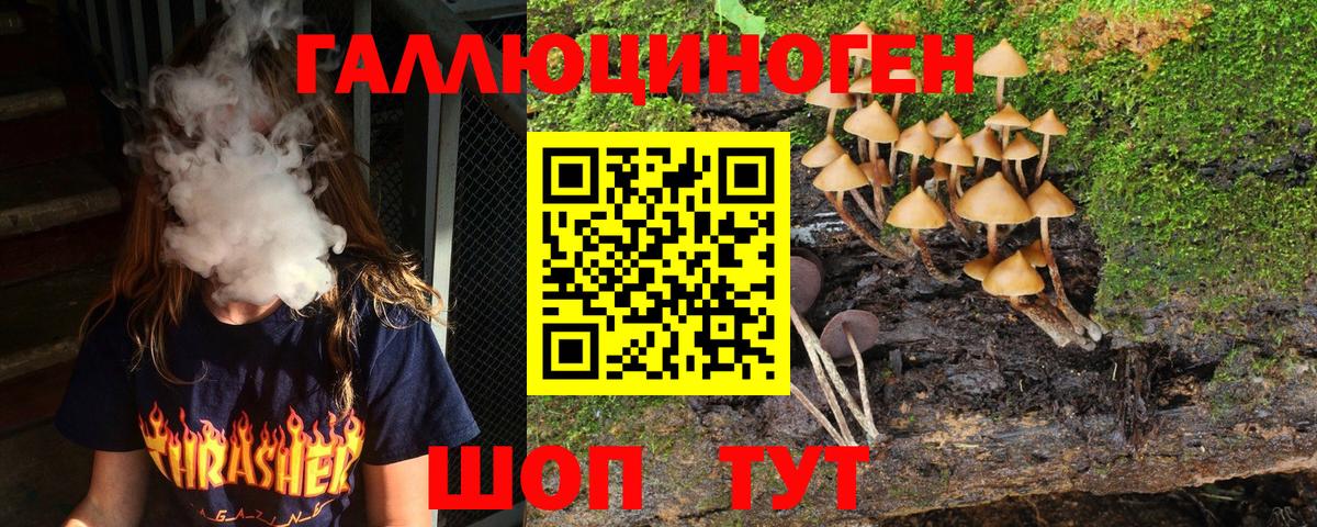 Дербент  цены наркотик  Галлюциногенные грибы GOLDEN TEACHER  Вход с VPN  Галлюциногенные грибы Psilocybine cubensis 