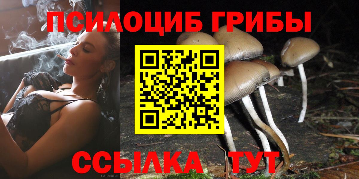 Галлюциногенные грибы Psilocybine cubensis Дербент